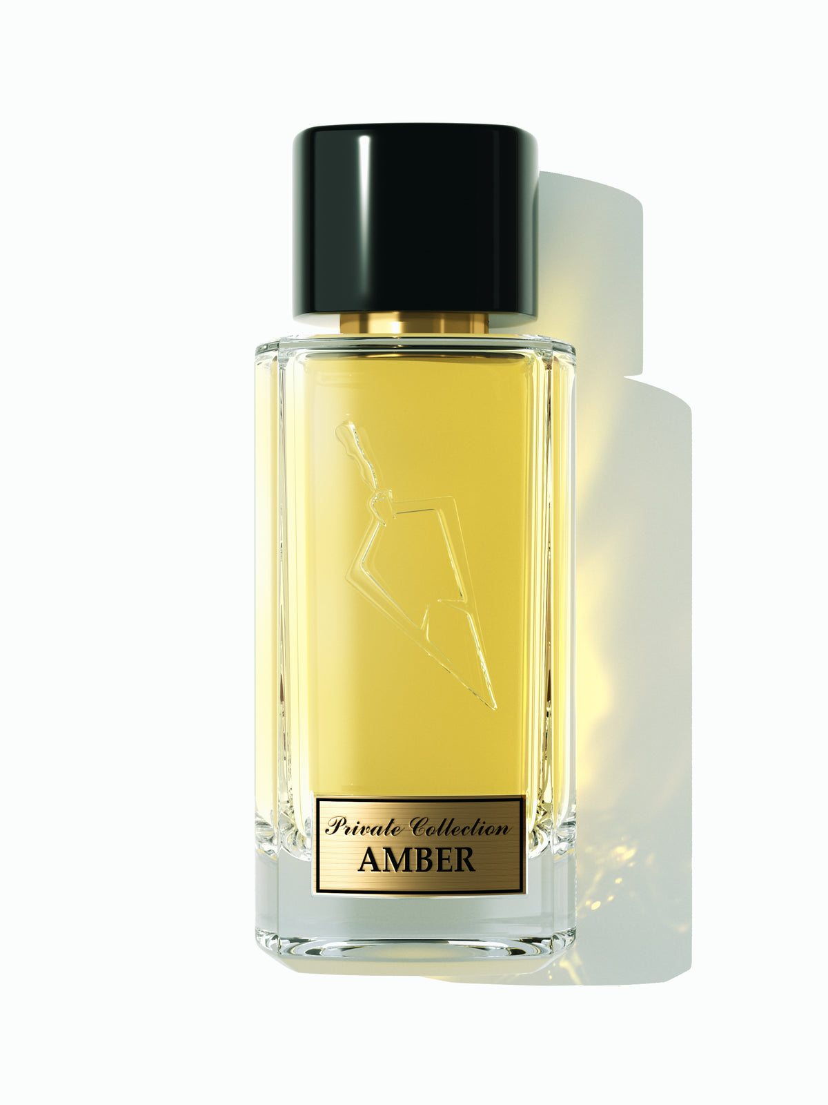 Amber Faisal Al Dayel