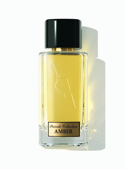 Amber Faisal Al Dayel